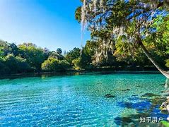 奥兰多魔术发布备战花絮，国际比赛日伤情更新，欧篮联任务艰巨，临场指挥获称赞